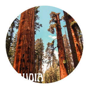 Sequoia National Park