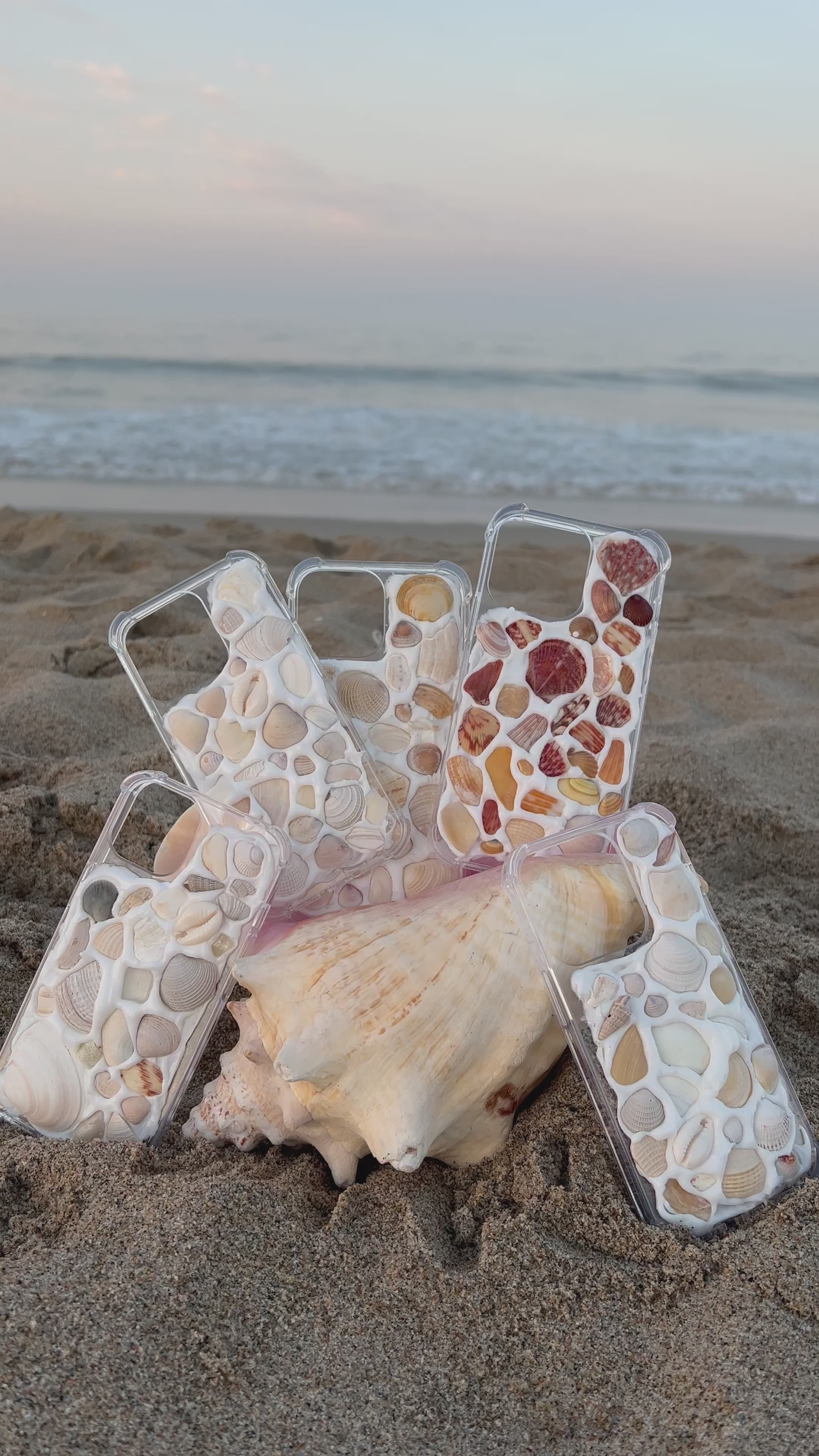 Sunset Shades Shell Case
